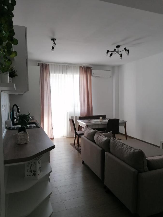 Amethyst Apartament Apartment Cluj-Napoca Exterior photo